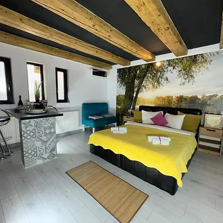 Smart Free Parking * Craiova