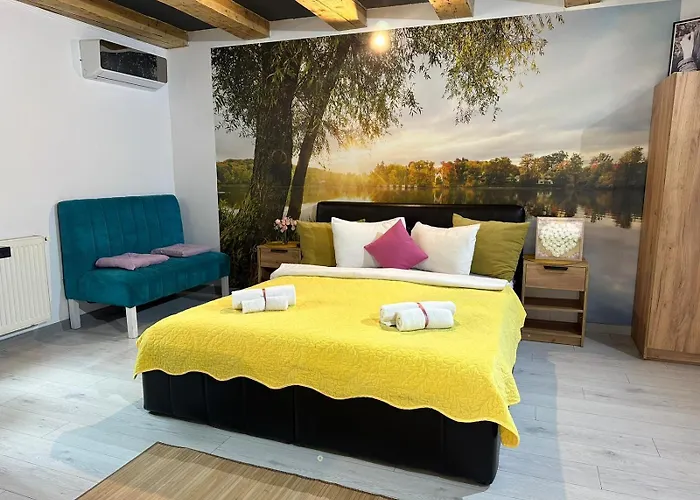 Smart Free Parking Craiova